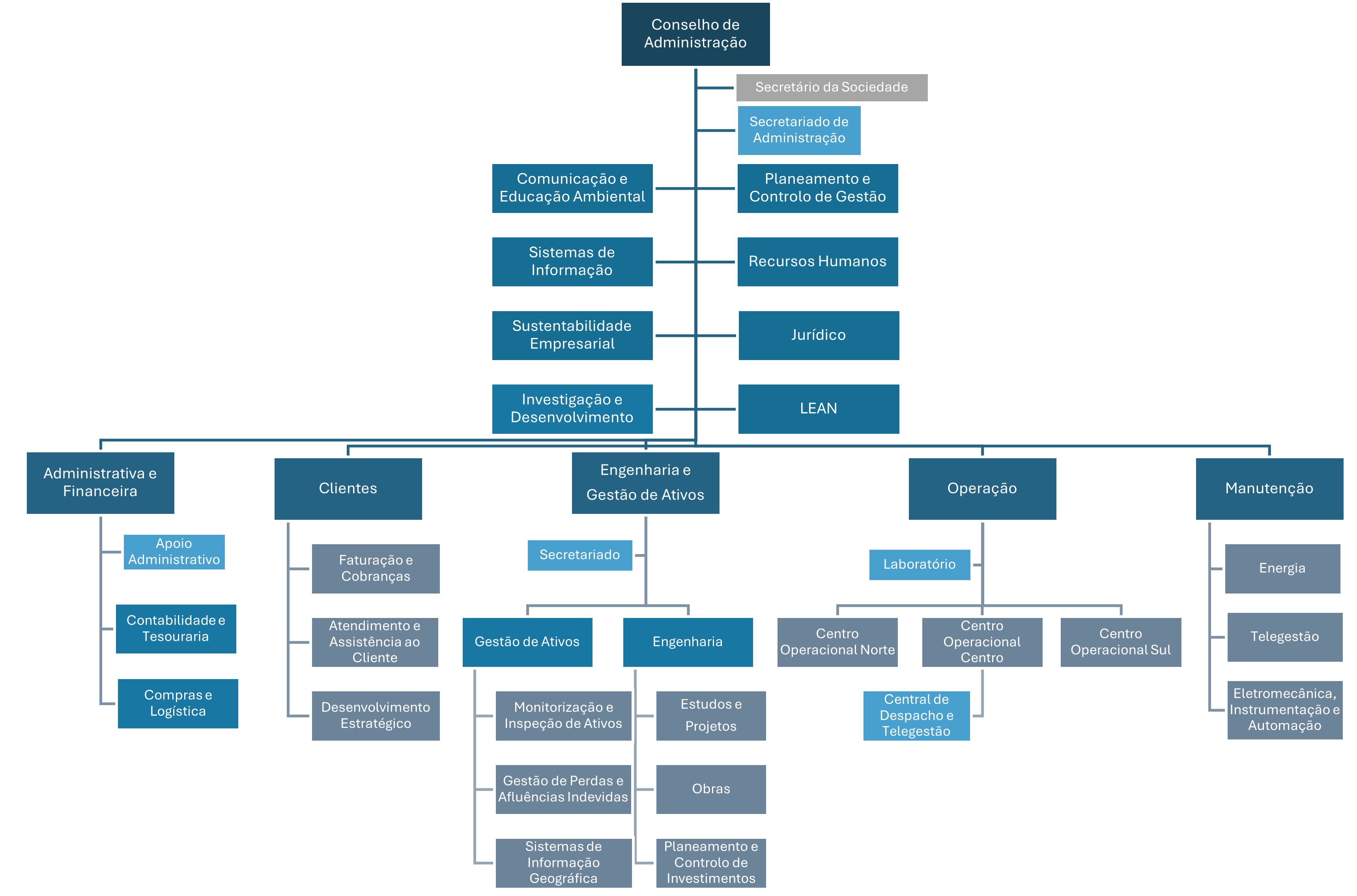 Organigrama - Estrutura Organizacional